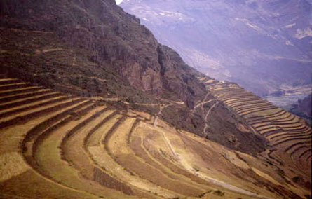 agricultural terraces Sacred Valley Peru